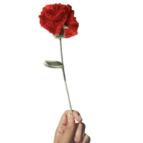 Handmade Red Crochet Carnation Flower Hand Crafted Botanical Faux Floral Gift - Picture 1 of 17